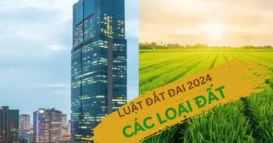 các loại đất
