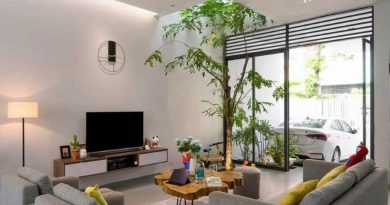 Bán Nhà Phố Từ Hoa Ngõ Ô Tô Thông