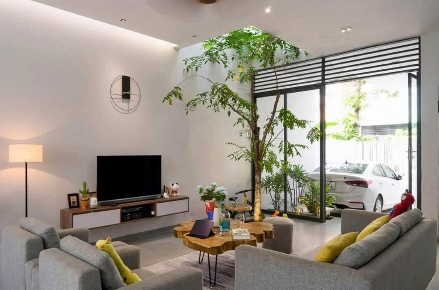 Bán Nhà Phố Từ Hoa Ngõ Ô Tô Thông