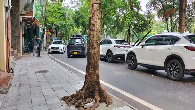 Bán Tòa Nhà Ngõ 87 Trịnh Công Sơn cách ô tô 30m